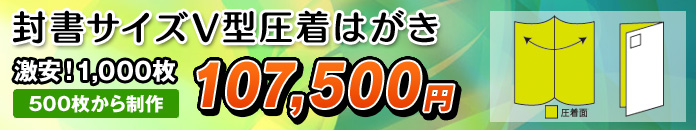 封書サイズV型圧着はがき